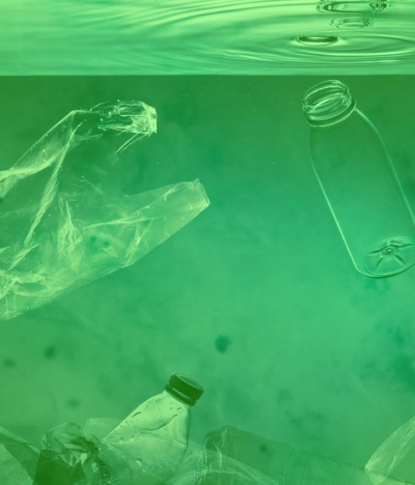 plastic-free